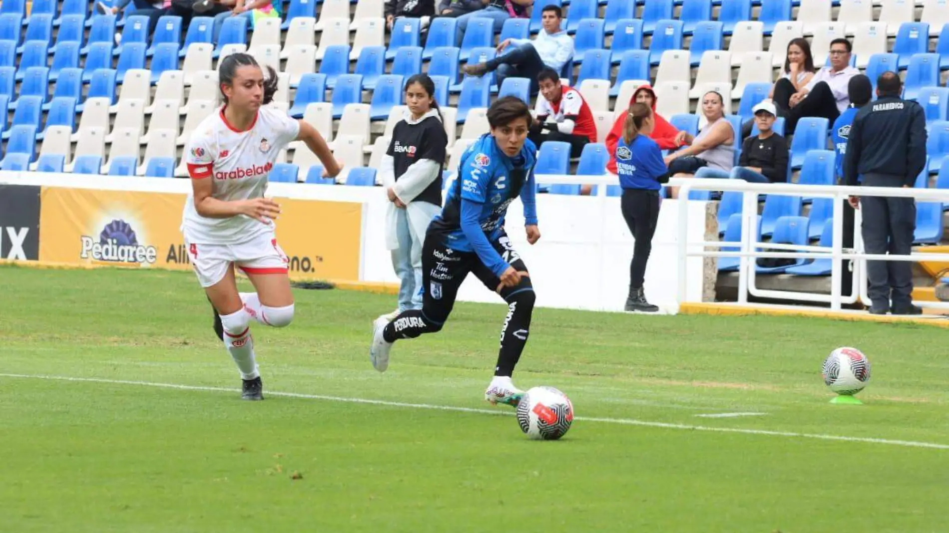 gallos femenil